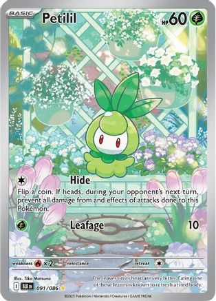 Petilil 091/086 - Holofoil SV Black Bolt - Illustration Rare