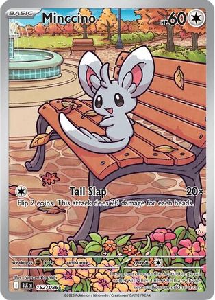 Minccino 152/086  - Holofoil SV Black Bolt - Illustration Rare