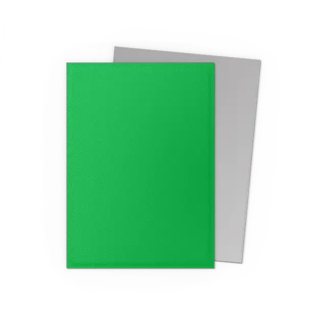 Dragon Shield - Apple Green & Silver - Matte Dual Sleeves