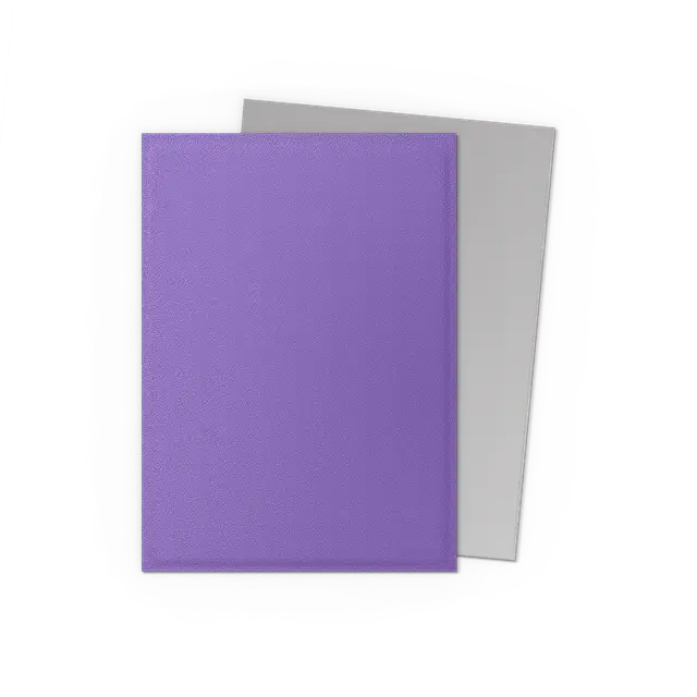 Dragon Shield - Nebula & Silver - Matte Dual Sleeves